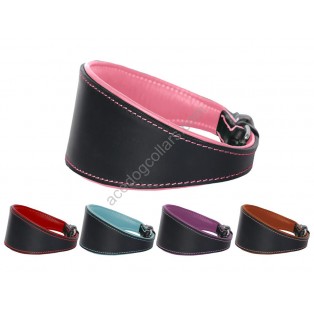  Ace Traditional Leather Dog Collar lined with super SOFT leather 5 Colors